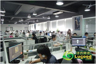 西安绿谷网络技术研发调研报告